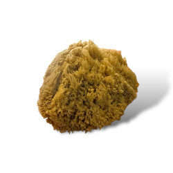 Esponja natural Olokun