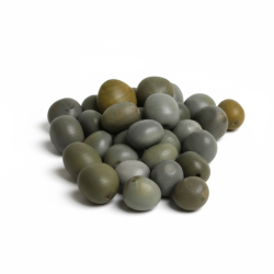 Semillas guacalote gris