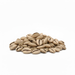 Bolsa Caracol ABIERTO 450gr