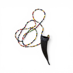 Inshe resguardo cuerno...