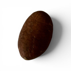 Semilla de Orogbo